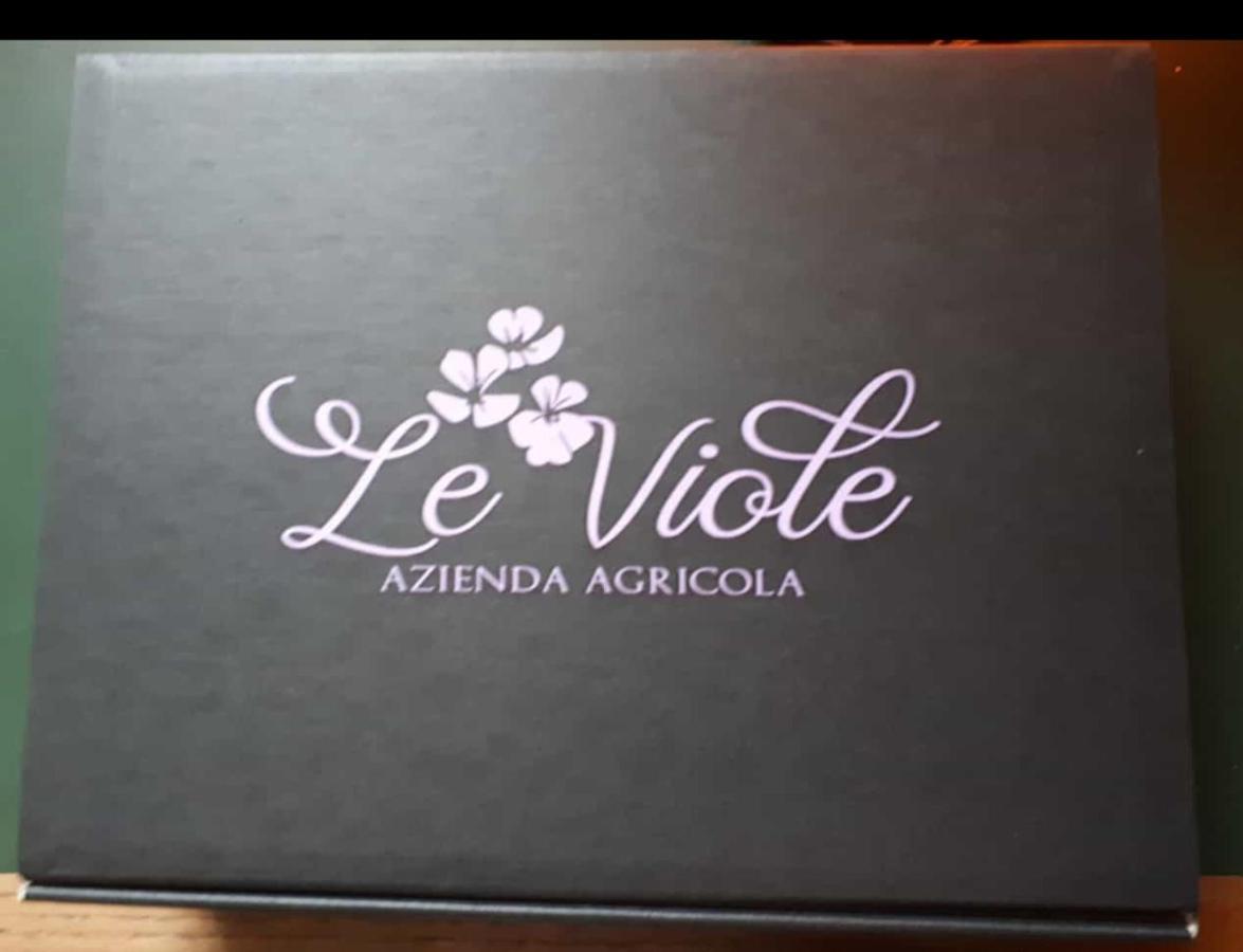 Agriturismo Le Viole Barolo Bagian luar foto